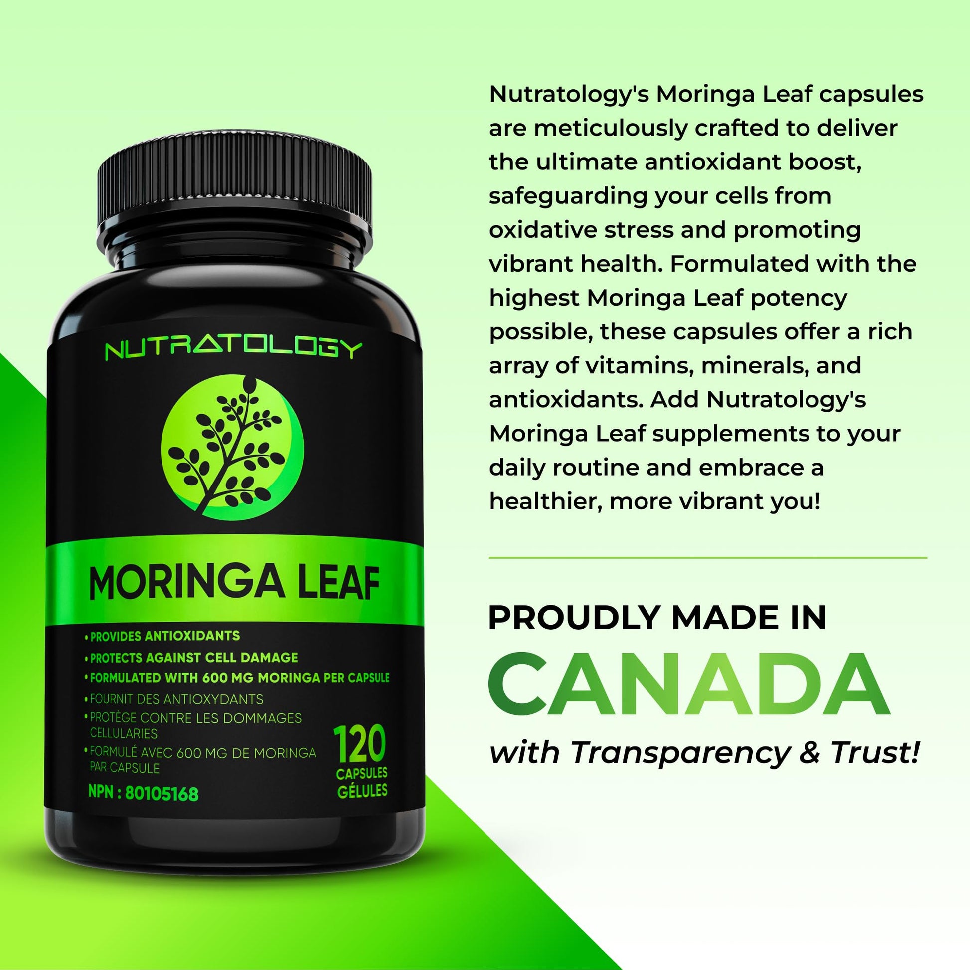 Nutratology® Organic Moringa Leaf Capsules | 1200MG Per Serving | Canadian-Made | Provides Powerful Antioxidants - Protects Against Cell Damage, Supports Liver Detox & Gut Health - 120 Caps - Available at All In One Marketplace Canada