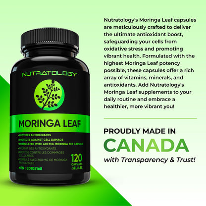 Nutratology® Organic Moringa Leaf Capsules | 1200MG Per Serving | Canadian-Made | Provides Powerful Antioxidants - Protects Against Cell Damage, Supports Liver Detox & Gut Health - 120 Caps - Available at All In One Marketplace Canada