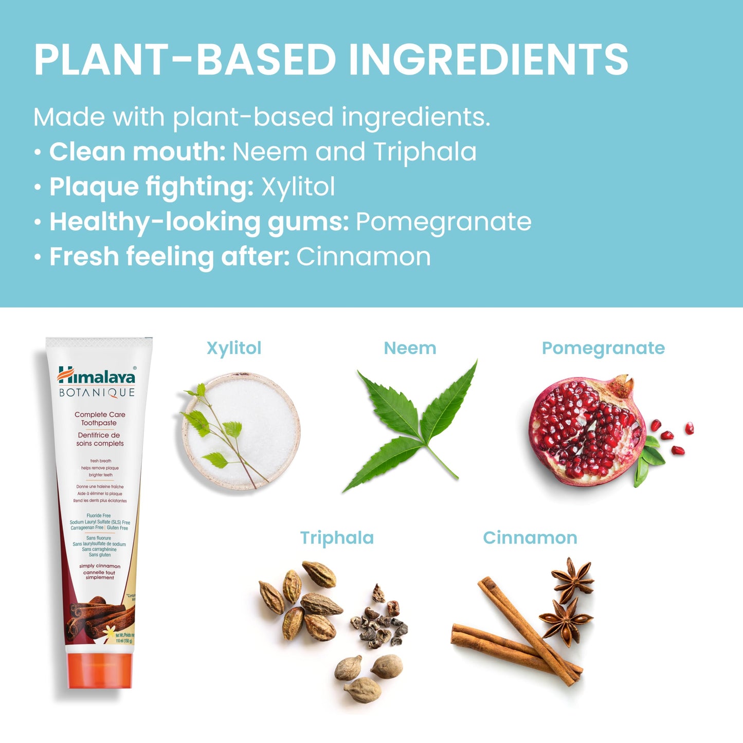 Himalaya Botanique Complete Care Toothpaste, Cinnamon, 150 g (5.29 oz) 🍁 All In One Marketplace Canada