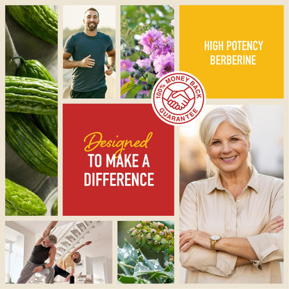 Berberine HCL Supplement | 1000mg | High Potency | Support Glucose Metabolism & Cardiovascular Health | 500mg Per Capsule | With Bitter Melon | Non-GMO, Third-Party Tested | 90 Ct. (45-Day Supply) - Available at All In One Marketplace Canada