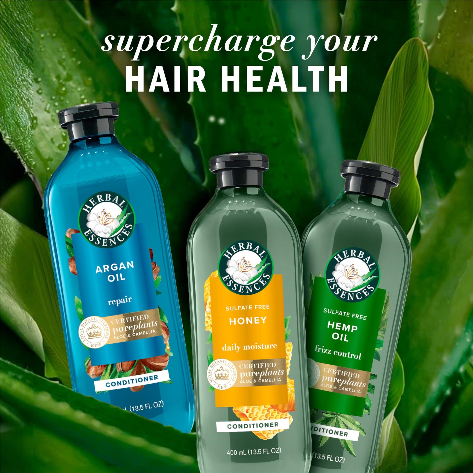 Herbal Essences, Argan Oil Paraben Free Shampoo and Conditioner, Dual Pack, Hair Repair, with Certified Camellia Oil and Aloe Vera, For All Hair Types, Especially Damaged Hair, 600 mL Each - Available at All In One Marketplace Canada