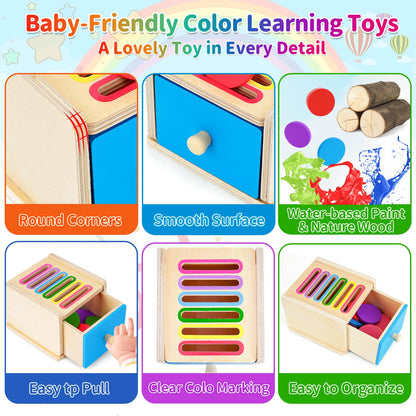 FCSONU Toddlers Montessori Coin Box Toys for 1 2 3 Year Old Boys Girls Baby 🍁 All In One Marketplace Canada
