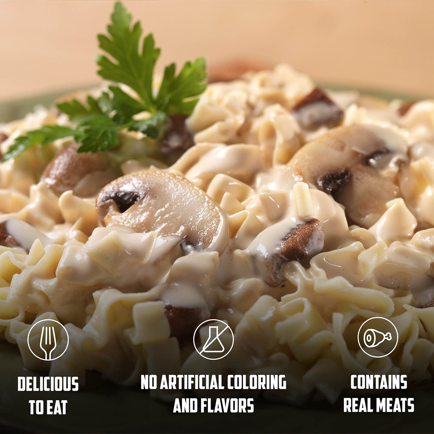 Mountain House Beef Stroganoff, Freeze Dried Emergency Food, Single Pouch Mountain House