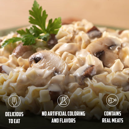 Mountain House Beef Stroganoff, Freeze Dried Emergency Food, Single Pouch Mountain House