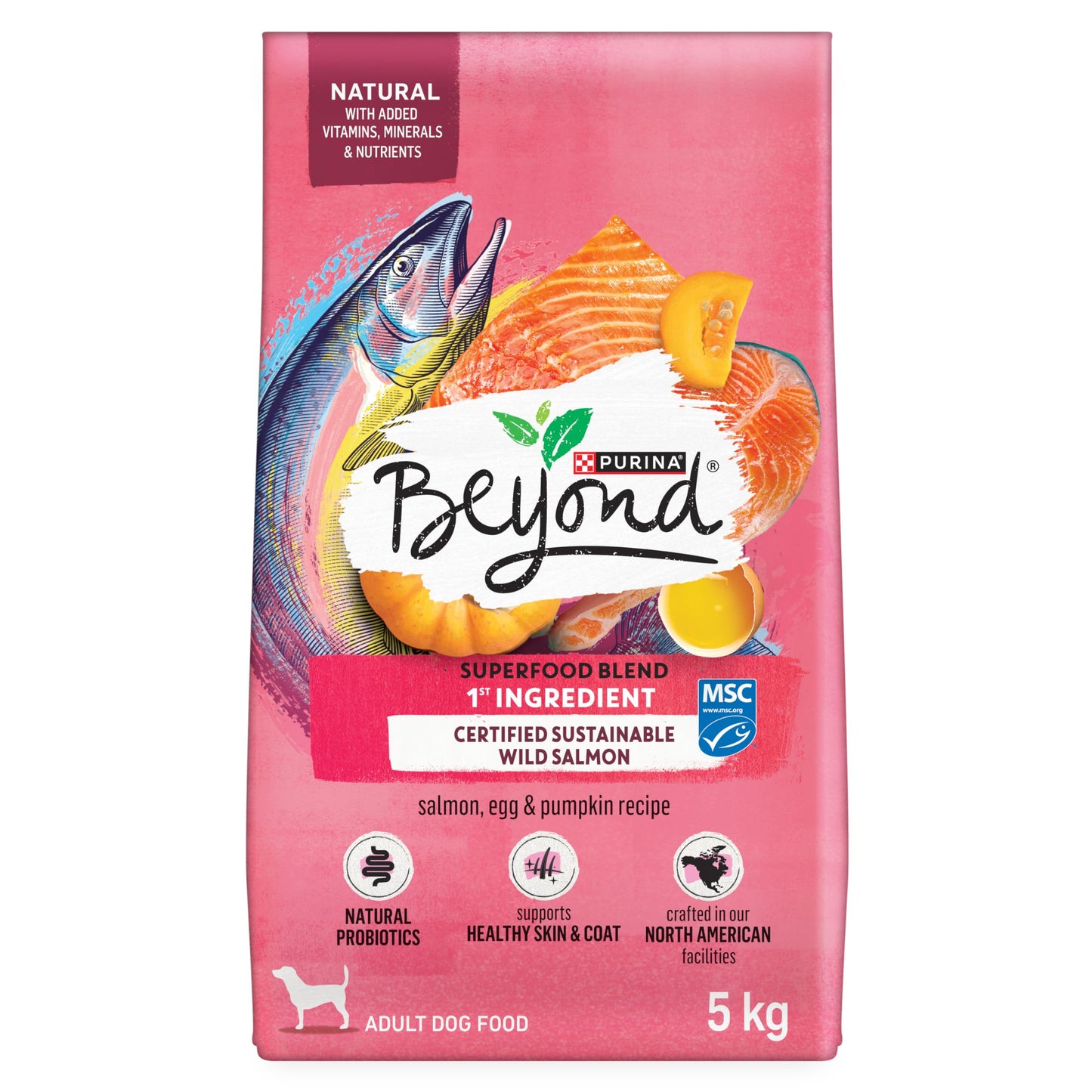 Beyond Superfood Blend Natural Dry Dog Food, Wild Caught Salmon, Egg & Pumpkin - 5 kg Bag 🍁 All In One Marketplace Canada