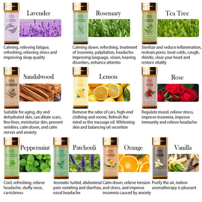 20 Pack 20 Flavors Pure Essential Oil Set, Essential Oils for Diffuser, Candle Making, Home Apartment, Eucalyptus, Lavender, Lemon, Peppermint,Tea Tree, Cinnamon, Rose, Sandalwood, Patchouli 🍁 All In One Marketplace Canada