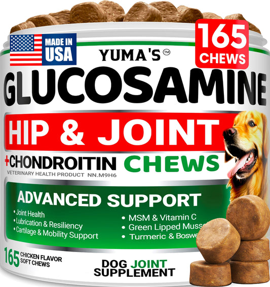 Glucosamine for Dogs - 165 Chews - Hip and Joint Supplement for Dogs - Glucosamine Chondroitin Chews - Joint Pain Relief Supplement with MSM - Advanced Health - Mobility Support - Made in USA