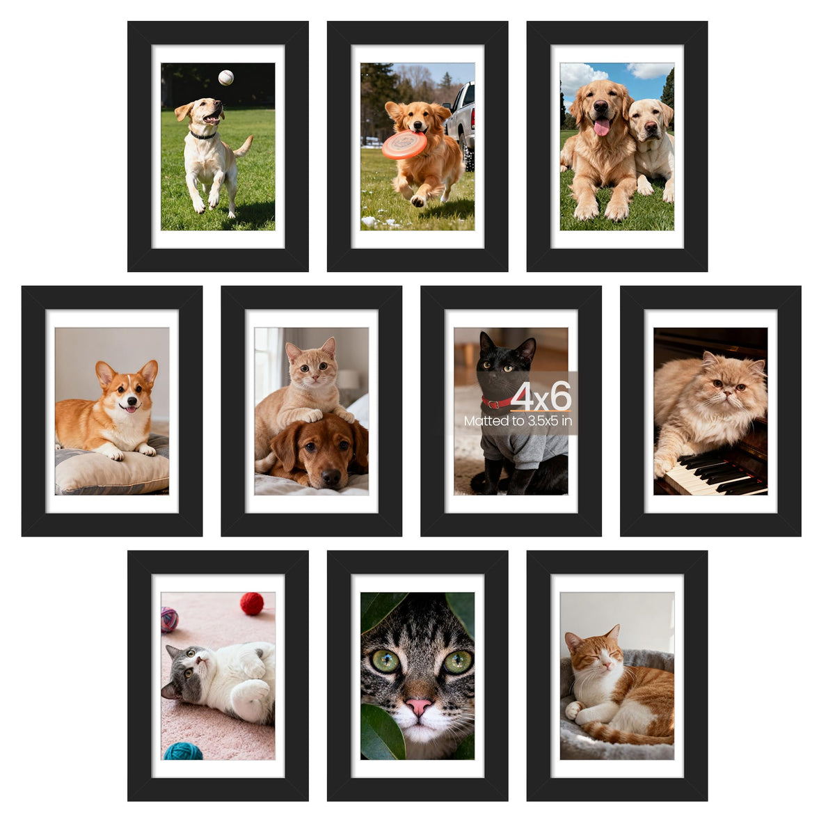 upsimples 4x6 Picture Frame Set of 10, Black 🍁 All In One Marketplace Canada