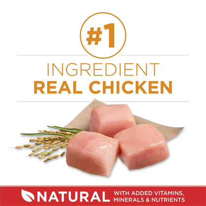 Purina ONE Dry Dog Food, Microbiome Balance with Chicken & Rice 7kg 🍁 All In One Marketplace Canada