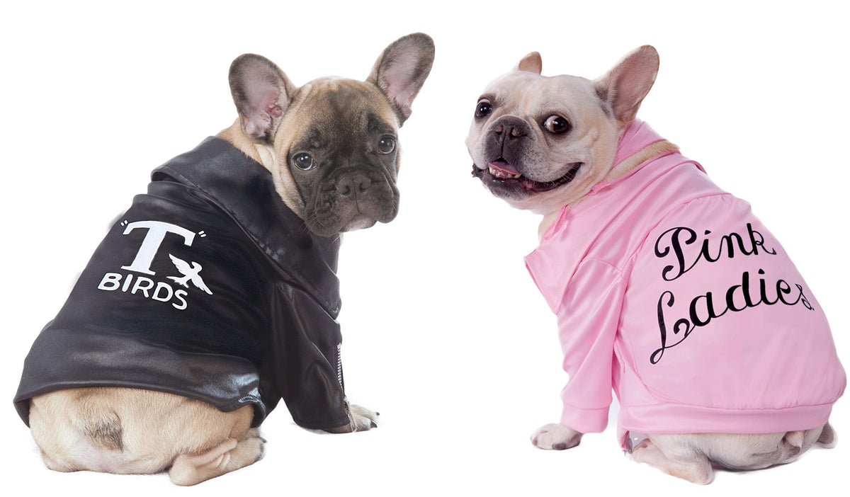 Veste Pink Ladies pour animal de compagnie, 40e anniversaire de Grease, par Rubies, pour soirées à thème et Halloween, très petite (XS)