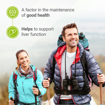 Nested Naturals Choline Bitartrate 500mg Per 2 Capsules | High Potency Choline Supplements | Supports Cognitive & Liver Function | 100% Vegan & Non-GMO Choline | 90 Vegan Capsules - Available at All In One Marketplace Canada