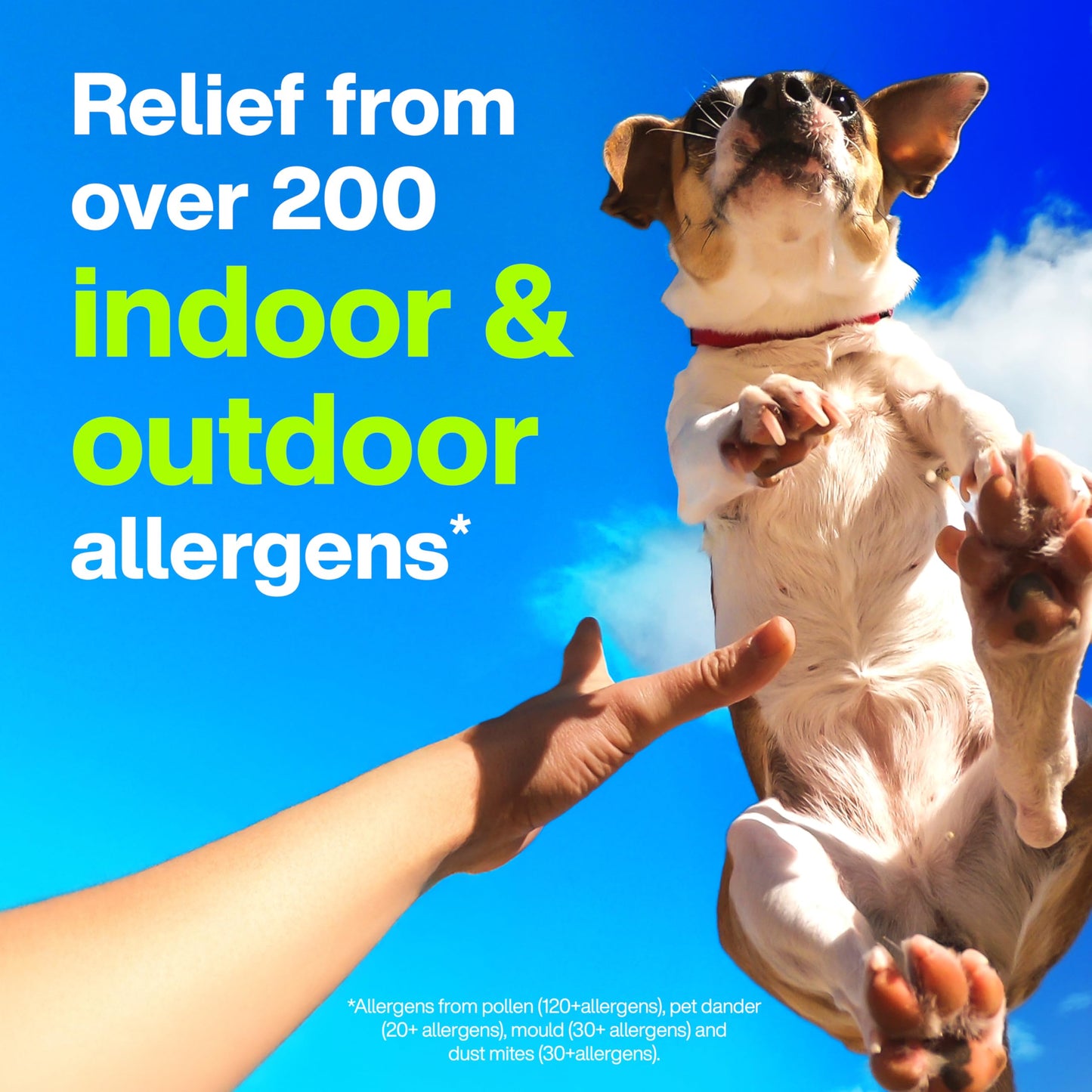 Claritin Allergy Medicine, 24-Hour Non-Drowsy Relief 10 mg, 50 Tablets - Available at All In One Marketplace Canada