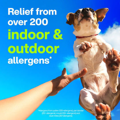 Claritin Allergy Medicine, 24-Hour Non-Drowsy Relief 10 mg, 50 Tablets - Available at All In One Marketplace Canada