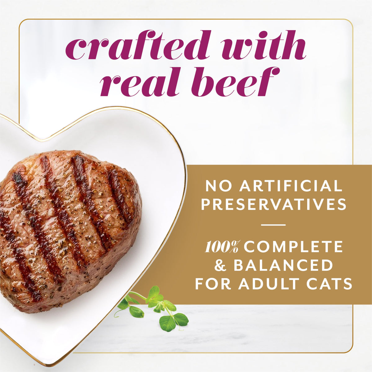 Fancy Feast Gems Wet Cat Food, Mousse Pâté with Beef 57g (2 Pack x 8)