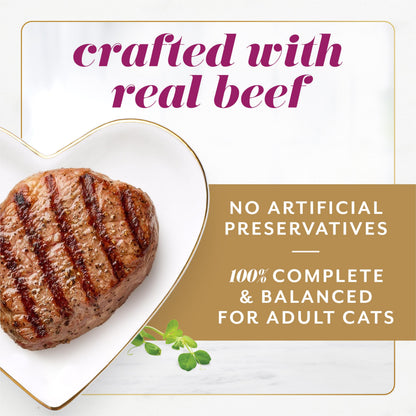 Fancy Feast Gems Wet Cat Food, Mousse Pâté with Beef 57g (2 Pack x 8)