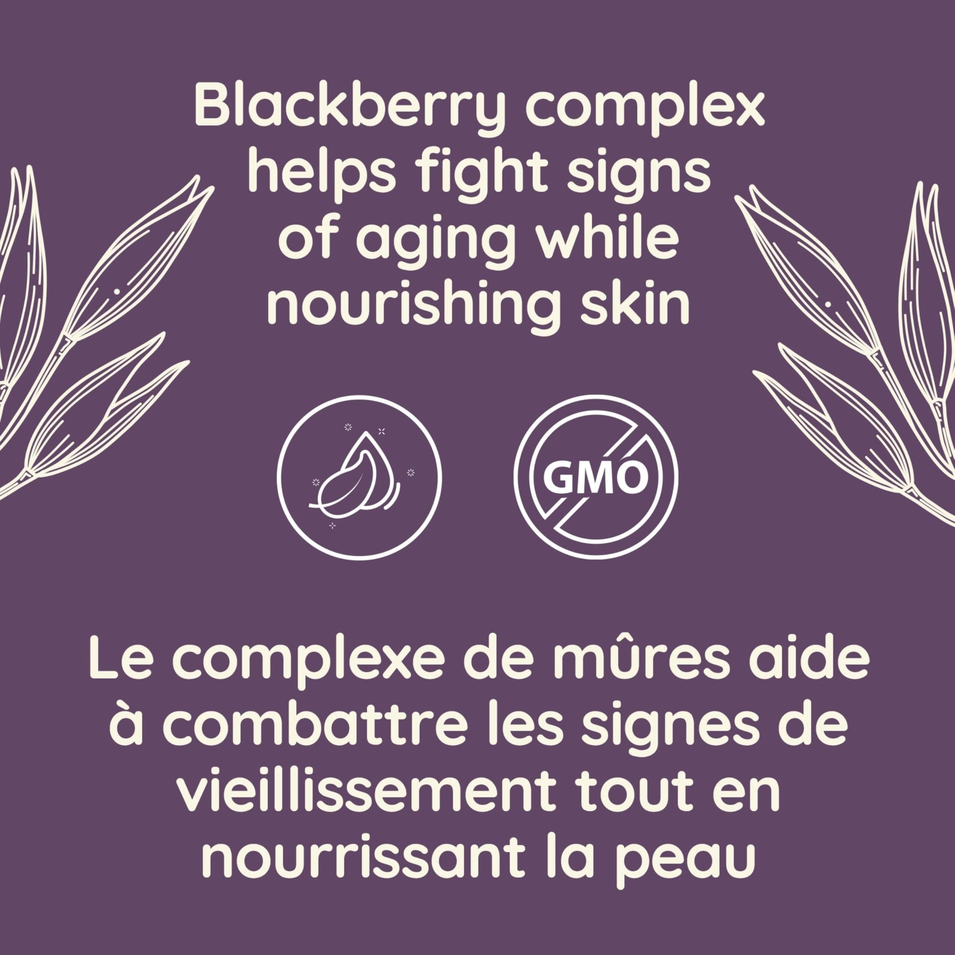 Aveeno Absolutely Ageless Daily Face Moisturizer with SPF 30 Sunscreen – Anti-Aging Wrinkle Cream with Blackberry Complex, Vitamins C & E – Hydrating Facial Moisturizer for Firmer Even Skin Tone 50 mL - Available at All In One Marketplace Canada