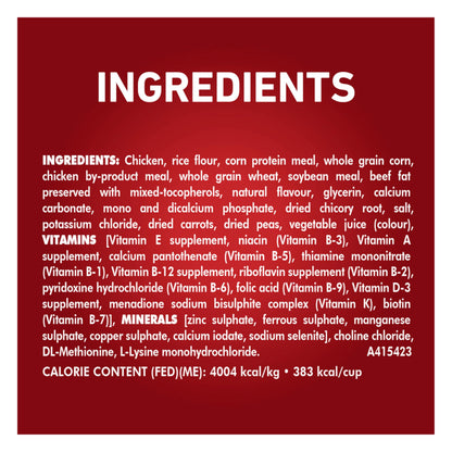 Purina ONE Dry Dog Food, Microbiome Balance with Chicken & Rice 7kg 🍁 All In One Marketplace Canada