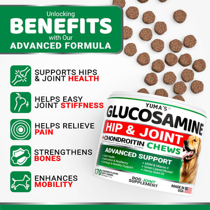 Glucosamine for Dogs - 170 Chews - Hip and Joint Supplement for Dogs - Glucosamine Chondroitin Chews - Joint Pain Relief Supplement with MSM - Advanced Health - Mobility Support - Made in USA
