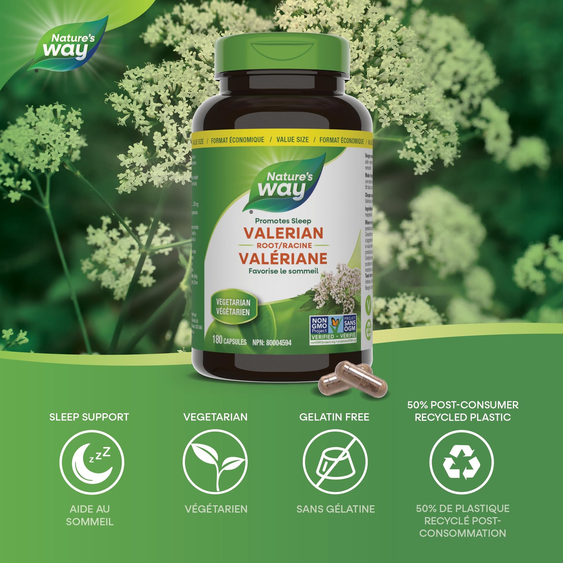 Nature's Way Valerian Root, Sleep Aid to Help Promote Sleep, Value Size, 180 Vegetarian Capsules Nature's Way