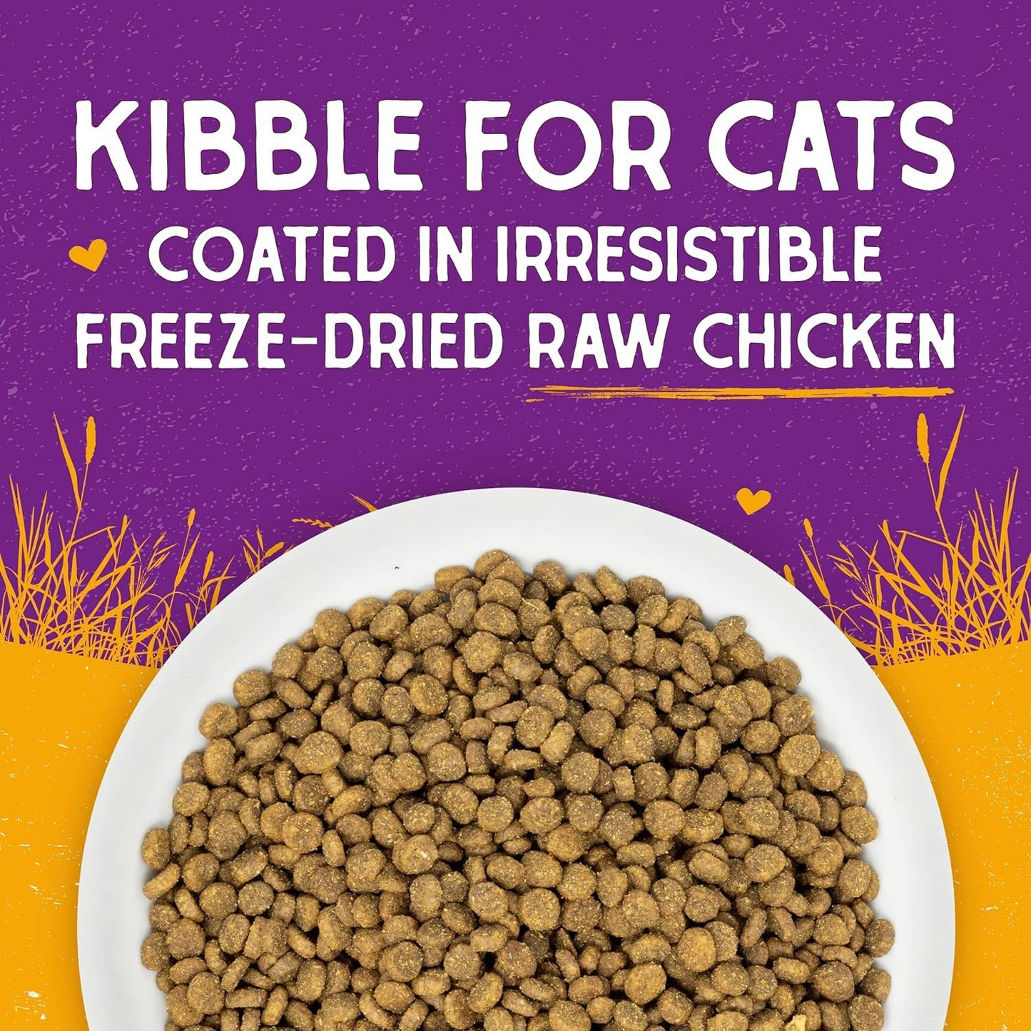 Stella & Chewy’s Raw Coated Premium Kibble Cat Food – Grain Free, Protein Rich Meals – Cage-Free Chicken Recipe – 1.13 kilograms Stella & Chewy's