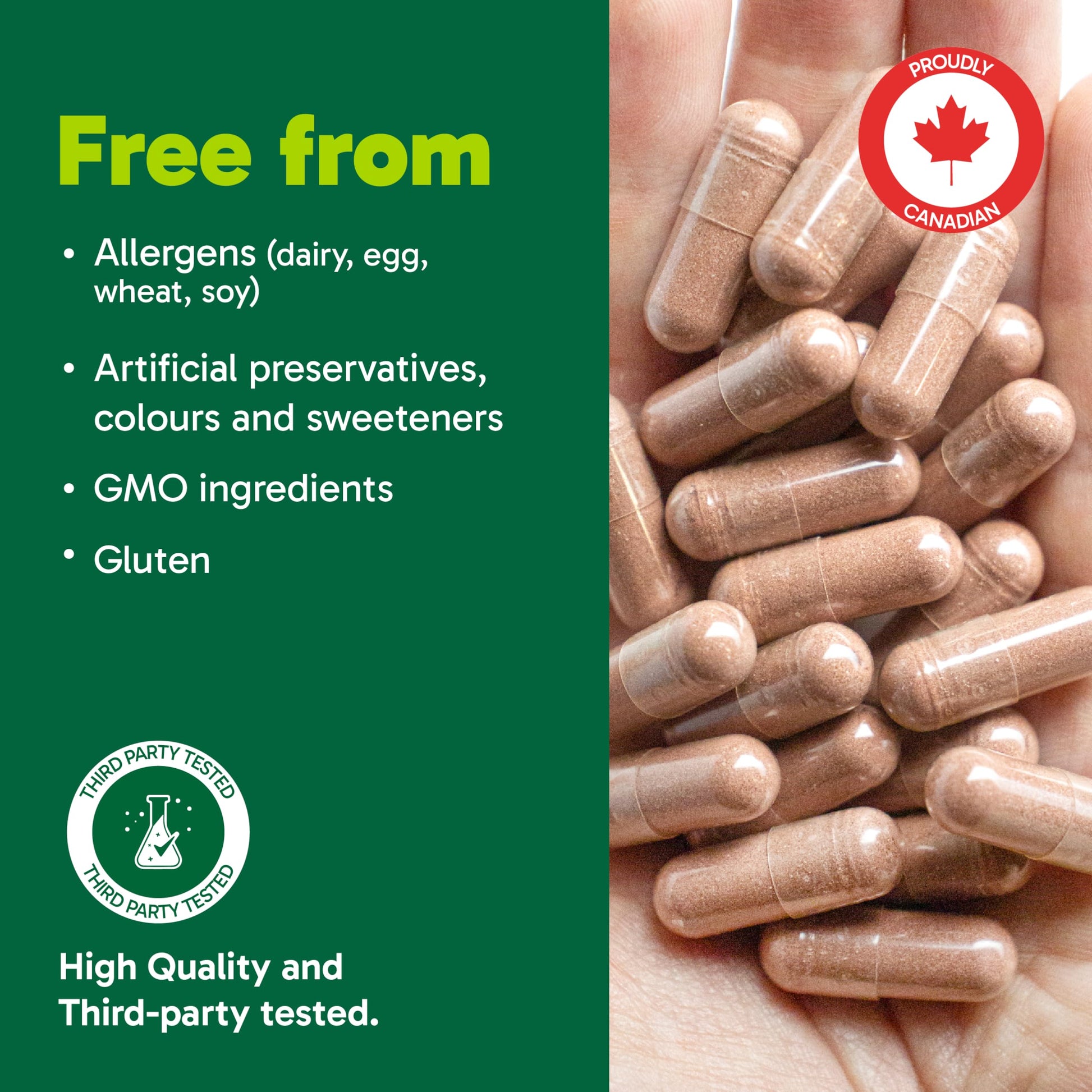 Organika Canadian-Made Red Yeast Rice Plus- Plant Sterols, Cholesterol Support- 180vcaps - Available at All In One Marketplace Canada