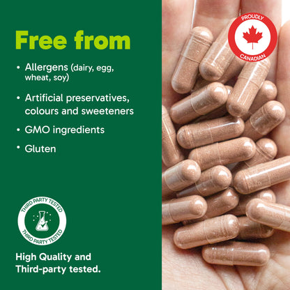 Organika Canadian-Made Red Yeast Rice Plus- Plant Sterols, Cholesterol Support- 180vcaps - Available at All In One Marketplace Canada