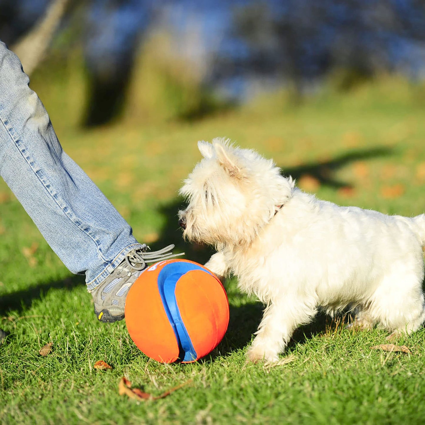 Chuckit! Large Kick Fetch Ball - Available at All In One Marketplace Canada