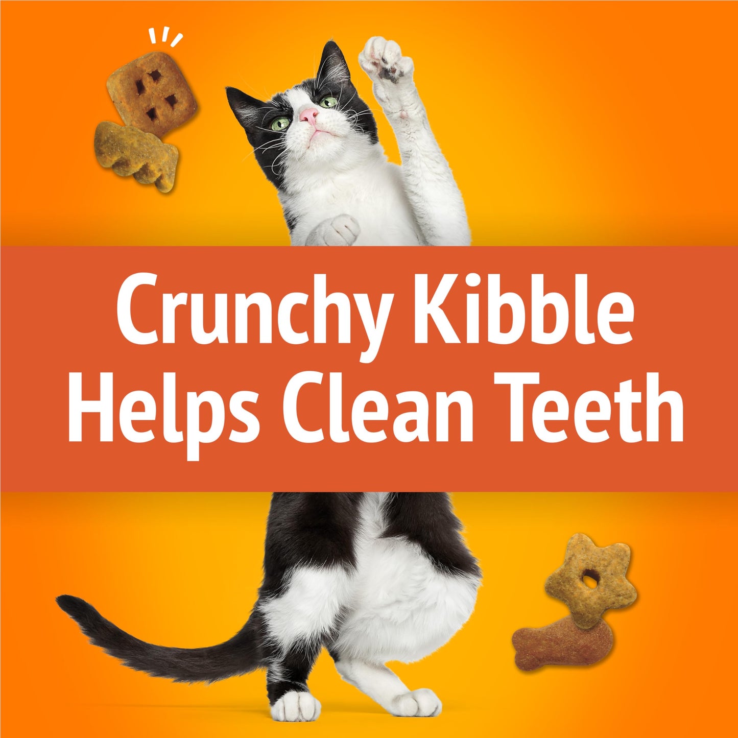 Friskies Party Mix Cat Treats, Original Crunch Chicken 510g (3 Pack) Friskies