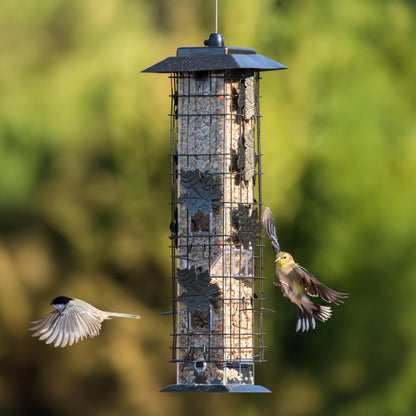 Perky-Pet 336-1SR Squirrel-Be-Gone Bird Feeder, 2LB Squirrel Proof Outdoor Wild Bird Feeder with Weight-Activated Perches