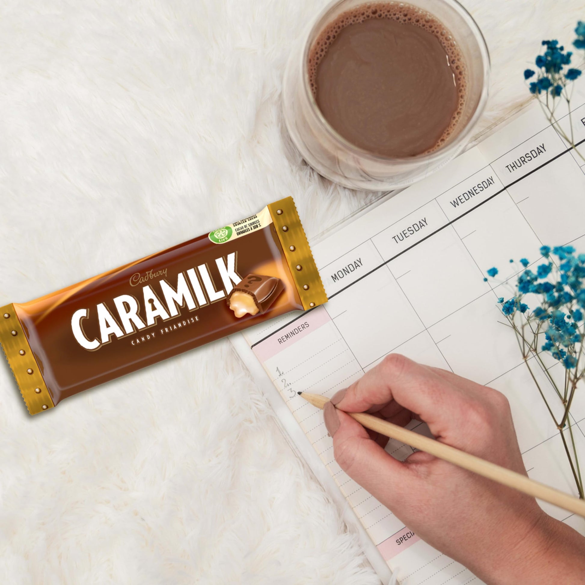 Cadbury Caramilk Chocolate Bars, 50g Singles, Pack of 24 Individually Wrapped