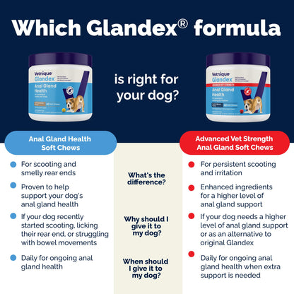 Glandex Anal Gland Soft Chew Treats with Pumpkin for Dogs Chews with Digestive Enzymes, Probiotics Fiber Supplement for Dogs – Vet Recommended - Boot The Scoot (Peanut Butter, 120ct Chews)
