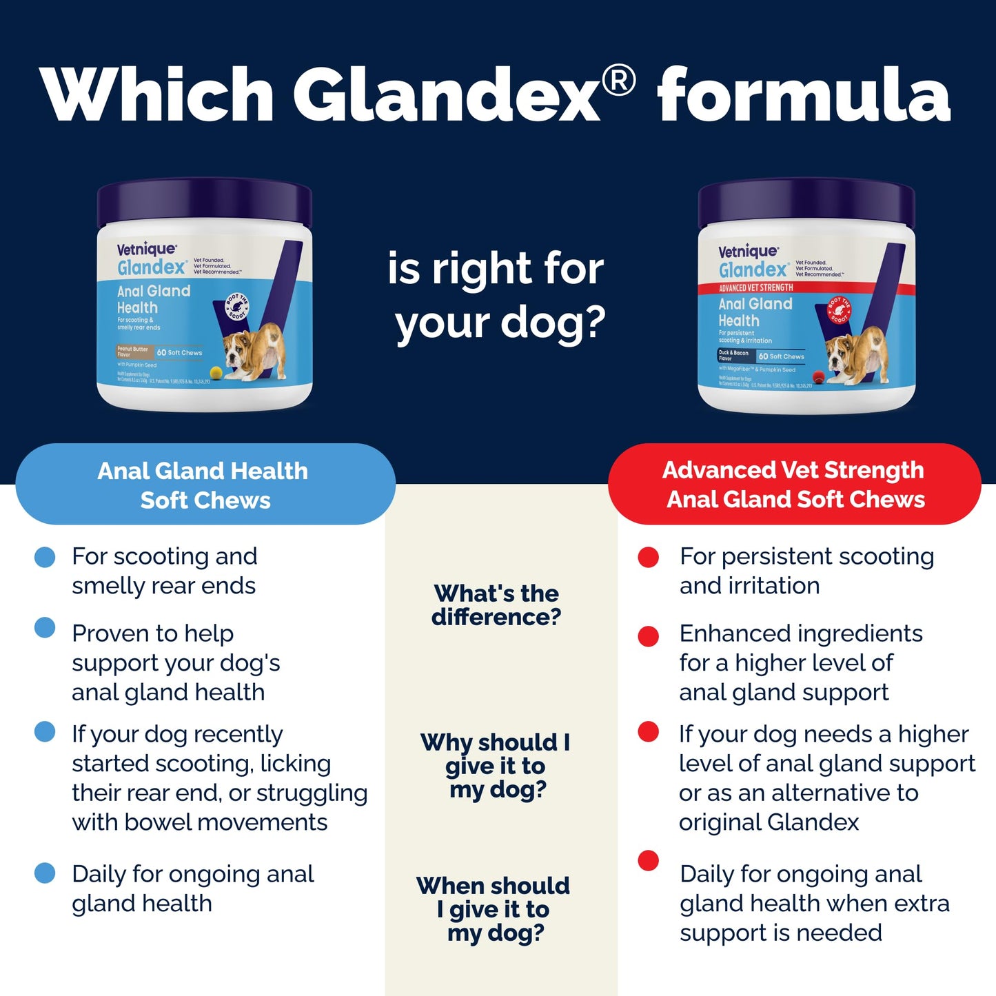 Vetnique Glandex Anal Gland Soft Chews for Dogs, Anal Gland Support, Boot The Scoot Fibre Supplement with Pumpkin, Unique Fiber Blend Probiotics & Digestive Enzymes (Peanut Butter, 60ct Chews)
