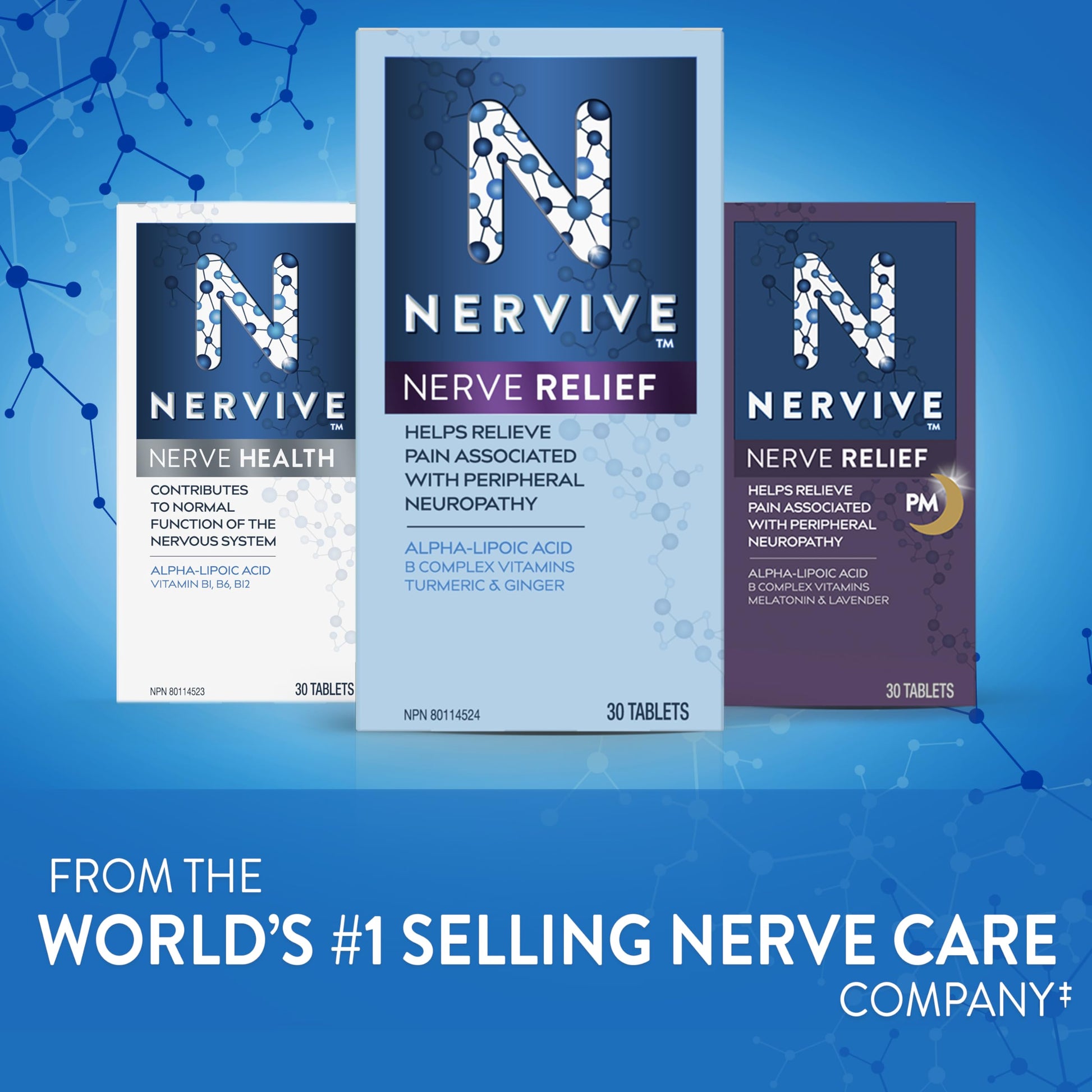 Nervive Nerve Relief PM, Helps Relieve Pain associated with Peripheral Neuropathy, Alpha Lipoic Acid ALA, Vitamins B1-Thiamine, B6, & B12, Melatonin, Chamomile, Lavender, 30-Night Supply, 30 Count - Available at All In One Marketplace Canada