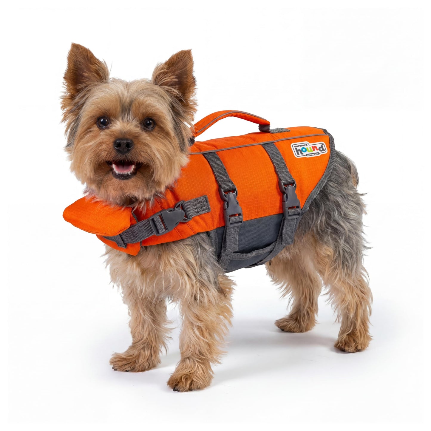 Outward Hound Granby Splash Dog Life Jacket with Handle, Reflective Floating Vest for Swimming & Boating, Maximum Buoyancy, All Skill Levels, Extra-Small Dogs & Puppies (11–15" Girth), Orange, X-Small