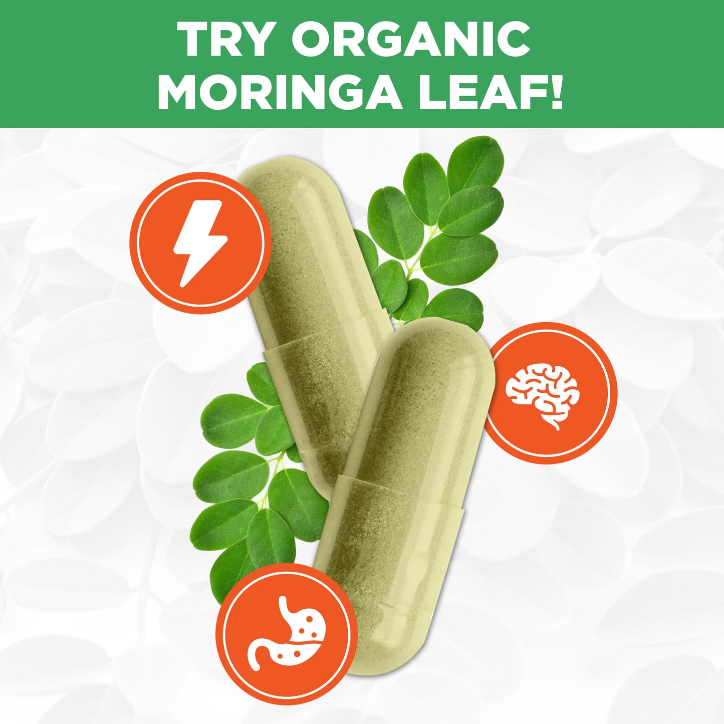 PlantVital Organic Moringa Leaf Capsules - Made in Canada - 1000mg High Potency (500mg per cap) Moringa Pure Capsules for Antioxidant, and Eye Health - Vegan, Non-GMO, Gluten Free (120 Count, 60 Days) - Available at All In One Marketplace Canada