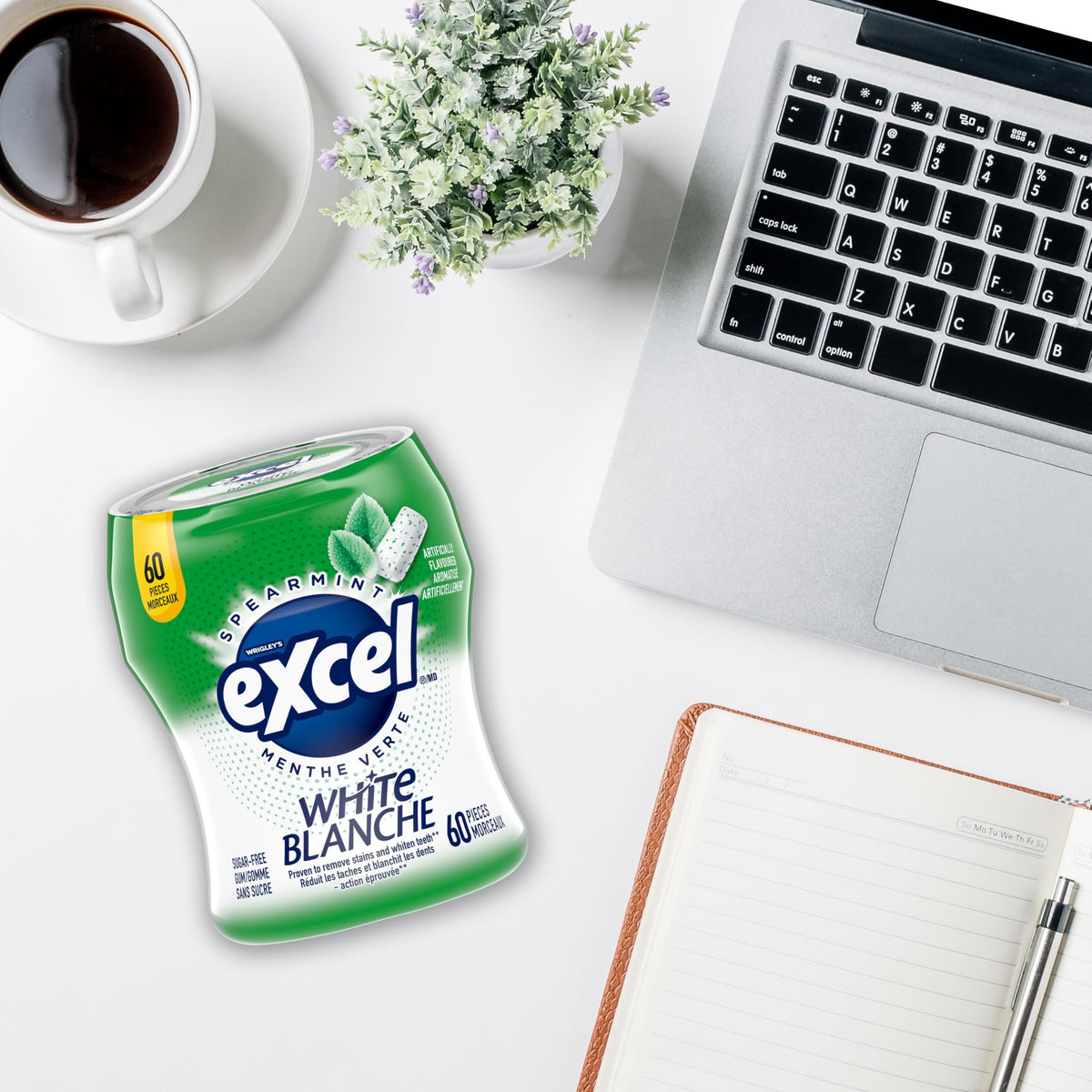 EXCEL, Spearmint Flavoured Sugar Free Chewing Gum, 60 Pieces, 6 Bottles