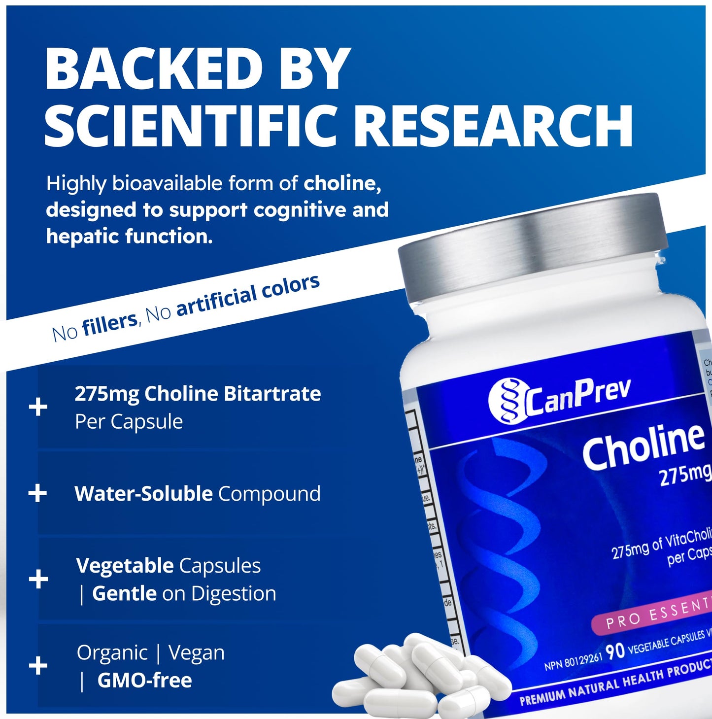 CanPrev Choline 275mg 90 Veggie Capsules, 90-Day Supply, VitaCholine for Cognitive Function, Memory & Focus, Vegan, Non-GMO, Gluten & Soy-Free, Supports Pregnancy, Liver & Heart Health, Made in Canada - Available at All In One Marketplace Canada