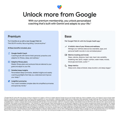 Google Fitbit Air - Screenless Activity Tracker - Fog