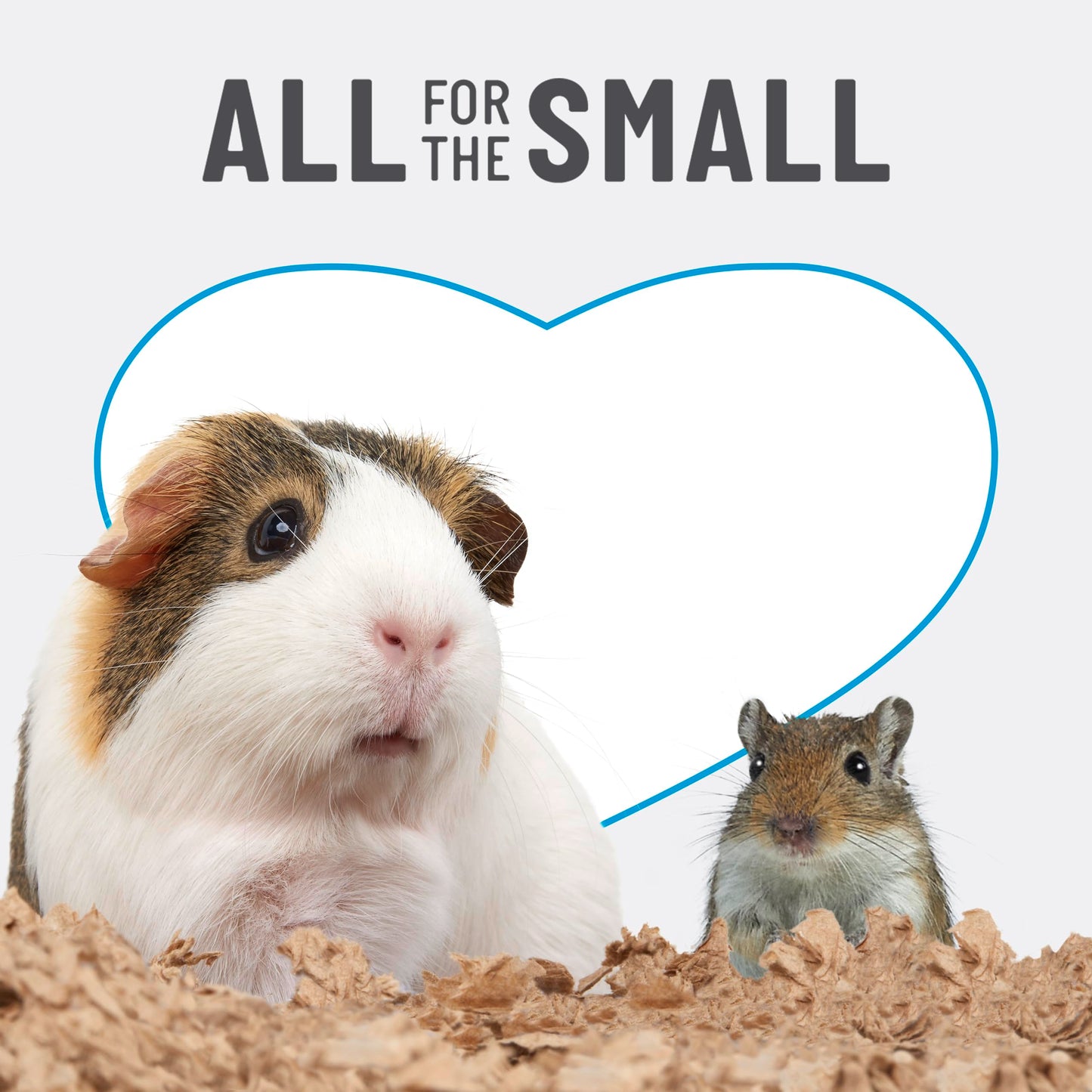 Kaytee Clean & Cozy Natural Small Animal Bedding, Expands to 49.2L 🍁 All In One Marketplace Canada