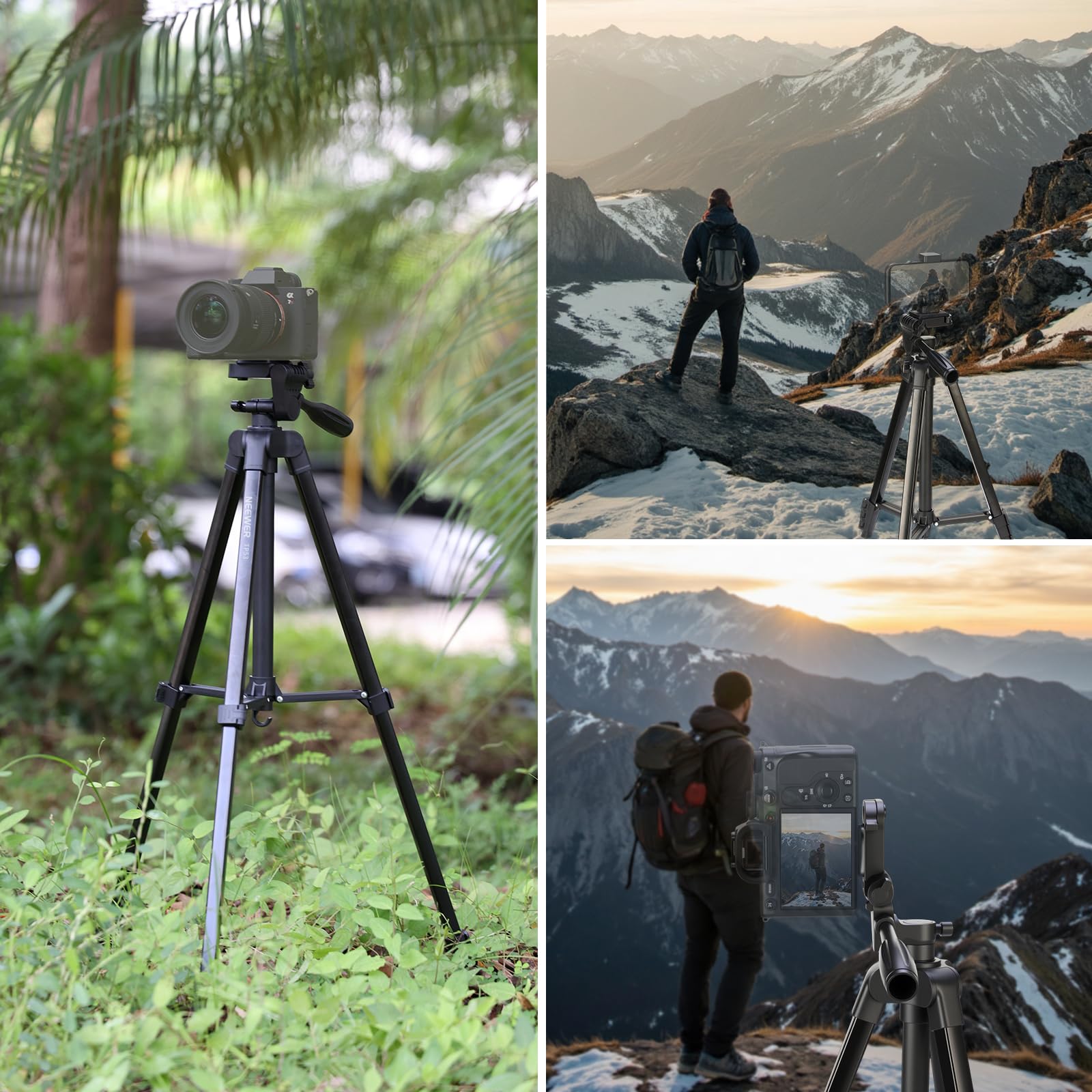 NEEWER Entry Level Version TP53 Tripod for Cell Phone & Camera, Metal NEEWER