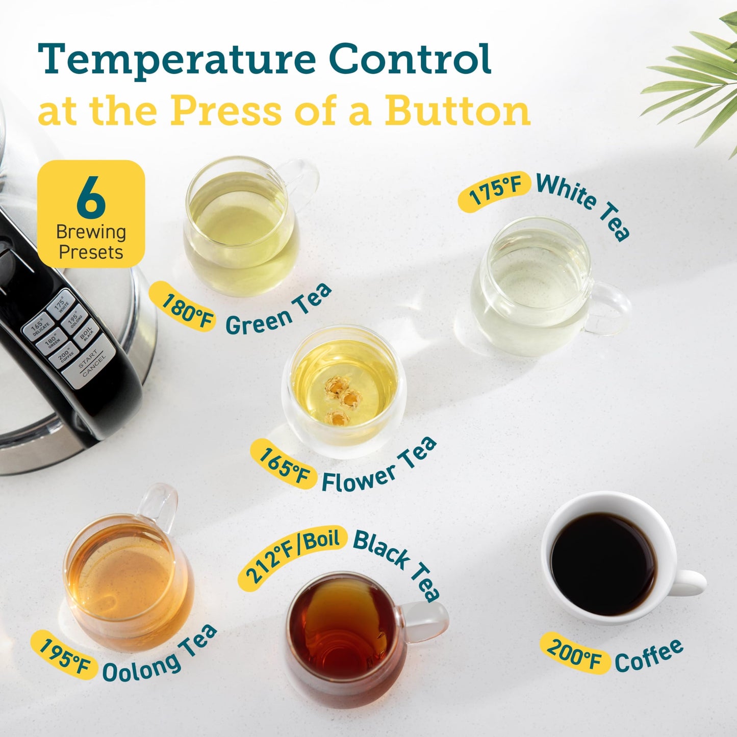Cosori Electric Kettle, 6 Temperature Presets, 1.7L Glass Tea Kettle, Black