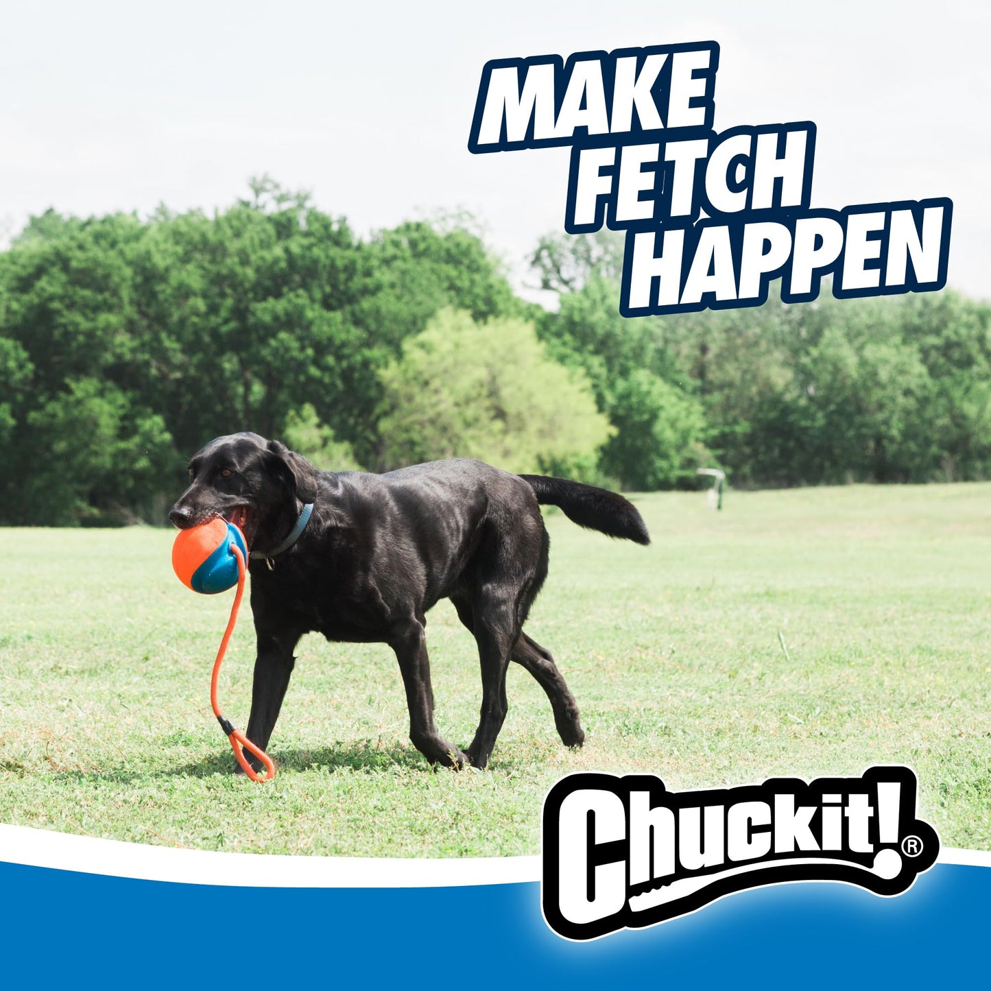 CHUCKIT! 32220 Pet Supplies Dog Toys Chuckit!
