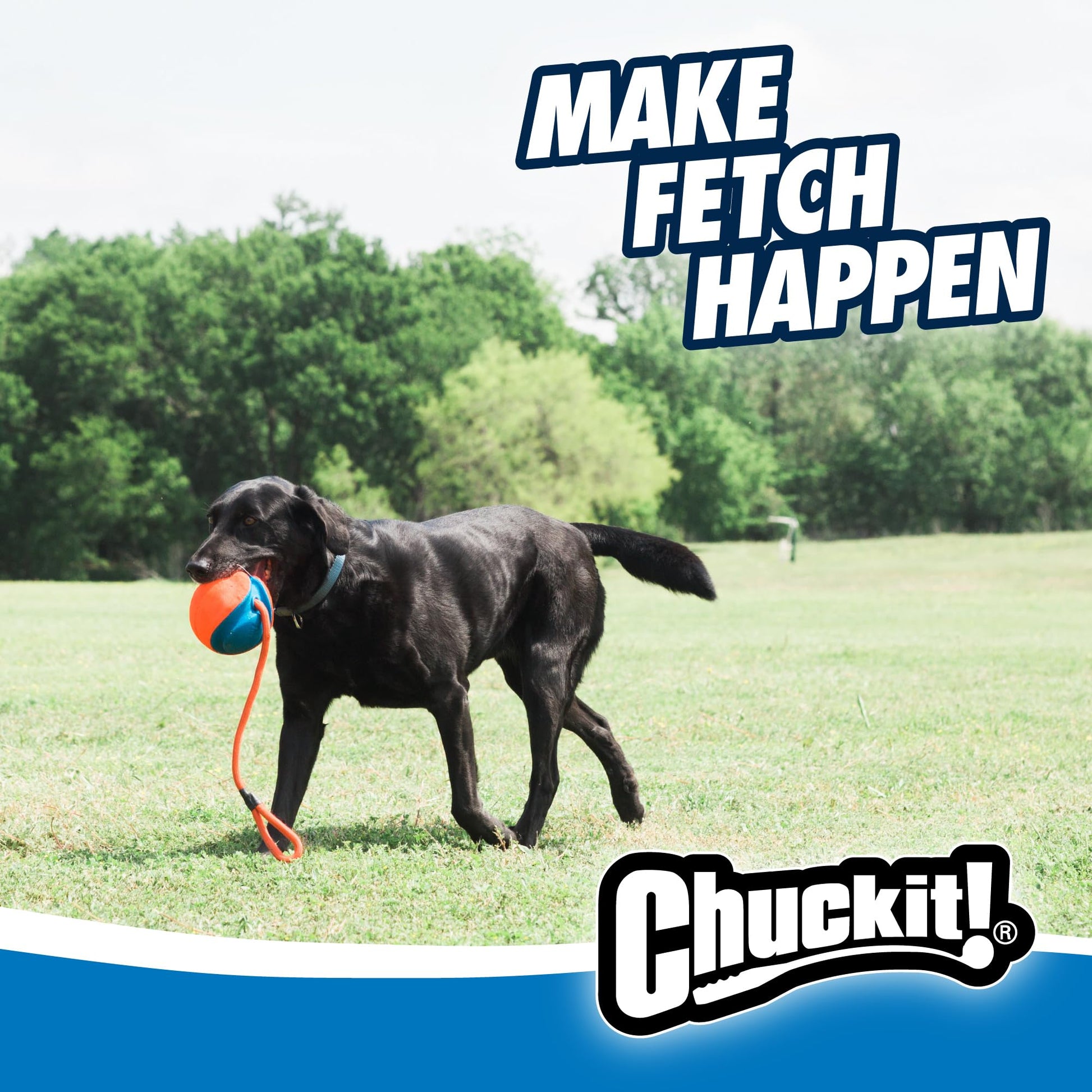 CHUCKIT! 32220 Pet Supplies Dog Toys Chuckit!