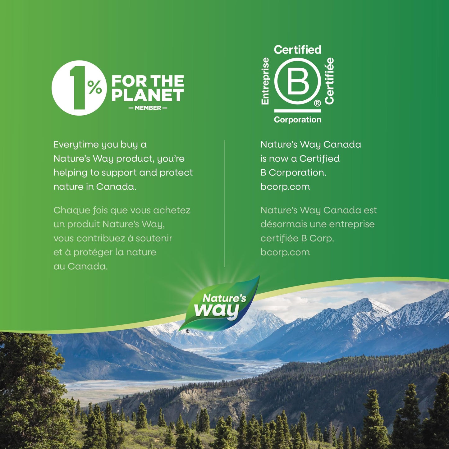 Nature’s Way Magnesium Glycinate Plus – Supports Bone Health, Heart & Muscle Function – 110 mg Magnesium Bisglycinate & Malate – 120 Vegetarian Tablets 🍁 All In One Marketplace Canada
