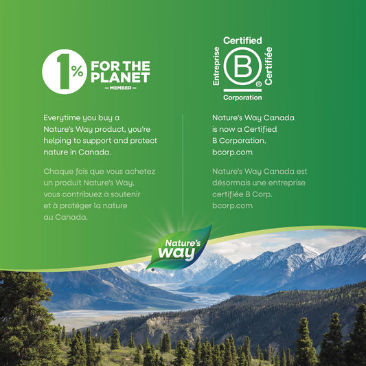 Nature’s Way Magnesium Glycinate Plus – Supports Bone Health, Heart & Muscle Function – 110 mg Magnesium Bisglycinate & Malate – 120 Vegetarian Tablets 🍁 All In One Marketplace Canada Nature's Way