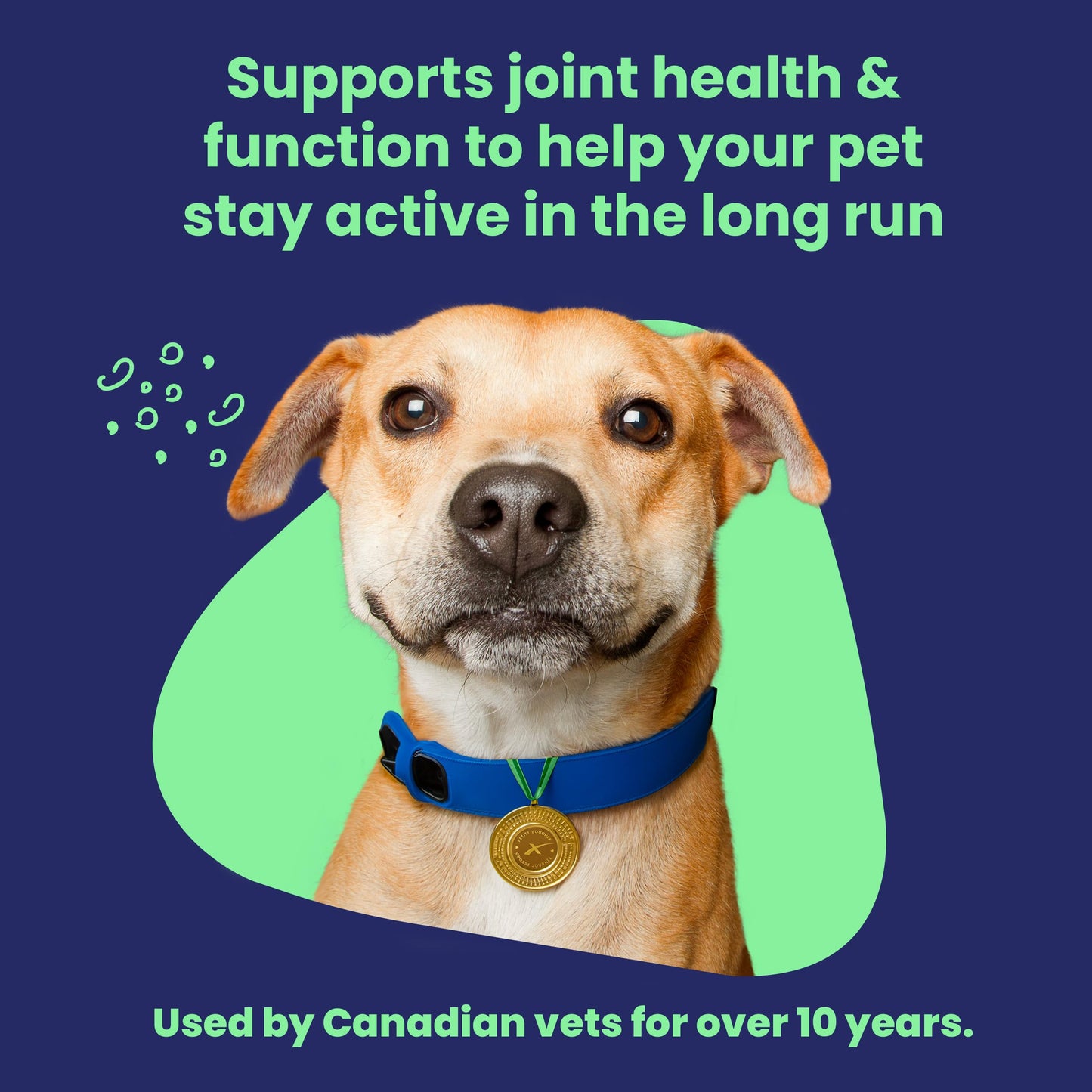 Vetoquinol Flexadin Advanced (with boswellia) – Dog Joint Supplement – One Chew a Day for Dogs - 60 Chews - Available at All In One Marketplace Canada