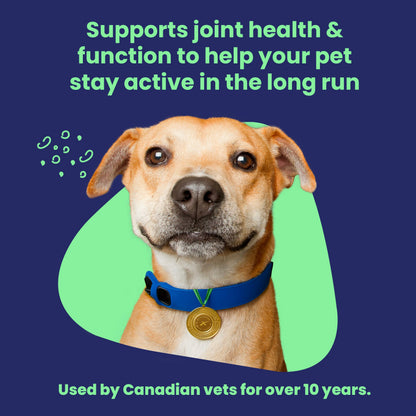 Vetoquinol Flexadin Advanced (with boswellia) – Dog Joint Supplement – One Chew a Day for Dogs - 60 Chews - Available at All In One Marketplace Canada