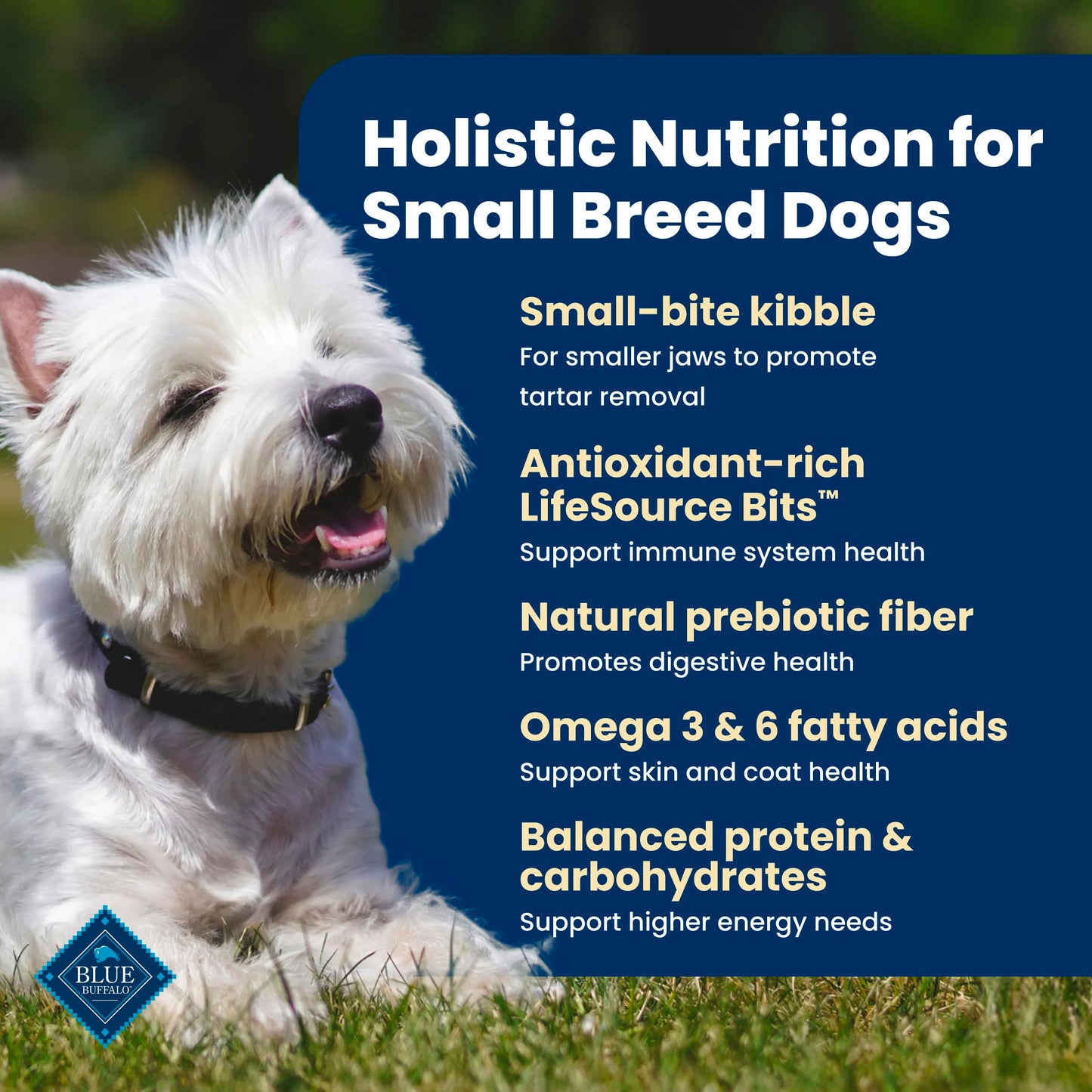 Blue Buffalo Life Protection Formula Chicken & Brown Rice Small Breed Adult Dry Dog Food, Supports Immunity with Antioxidant-Rich LifeSource Bits, Promotes Healthy Muscles, 6.8kg/15 lbs