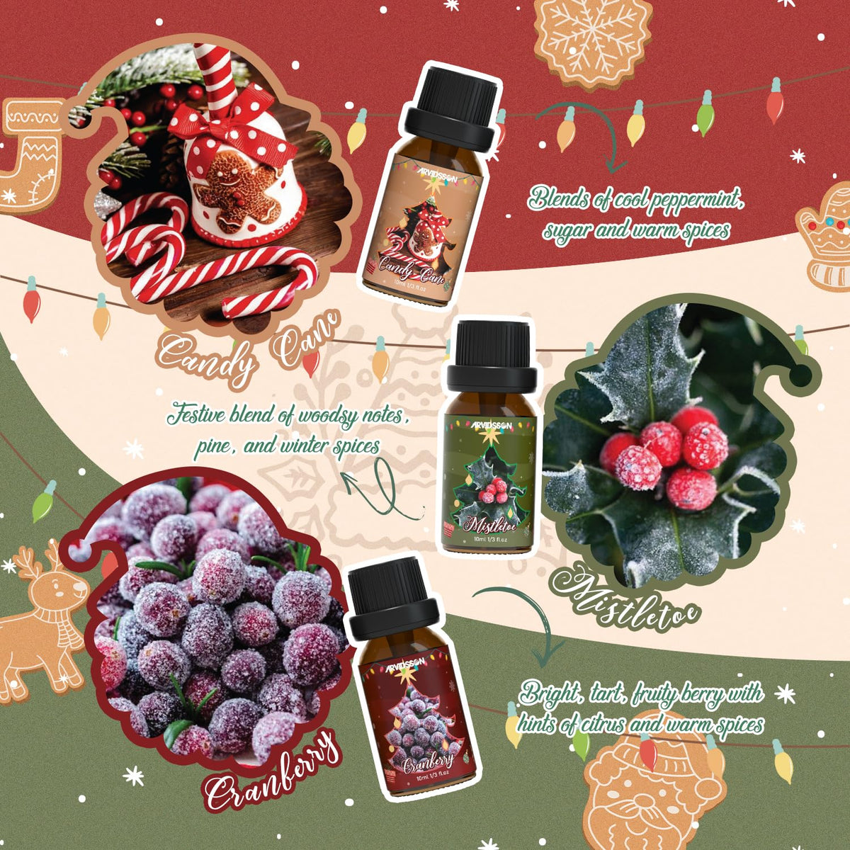 ARVIDSSON Christmas Fragrance Oil Set, Winter Essential Oils for Diffuser, Candle Making - Christmas Spirit, Gingerbread, Apple Cinnamon, Candy Cane, Mistletoe, Holiday Diffuser Oils Gift Set 🍁 All In One Marketplace Canada