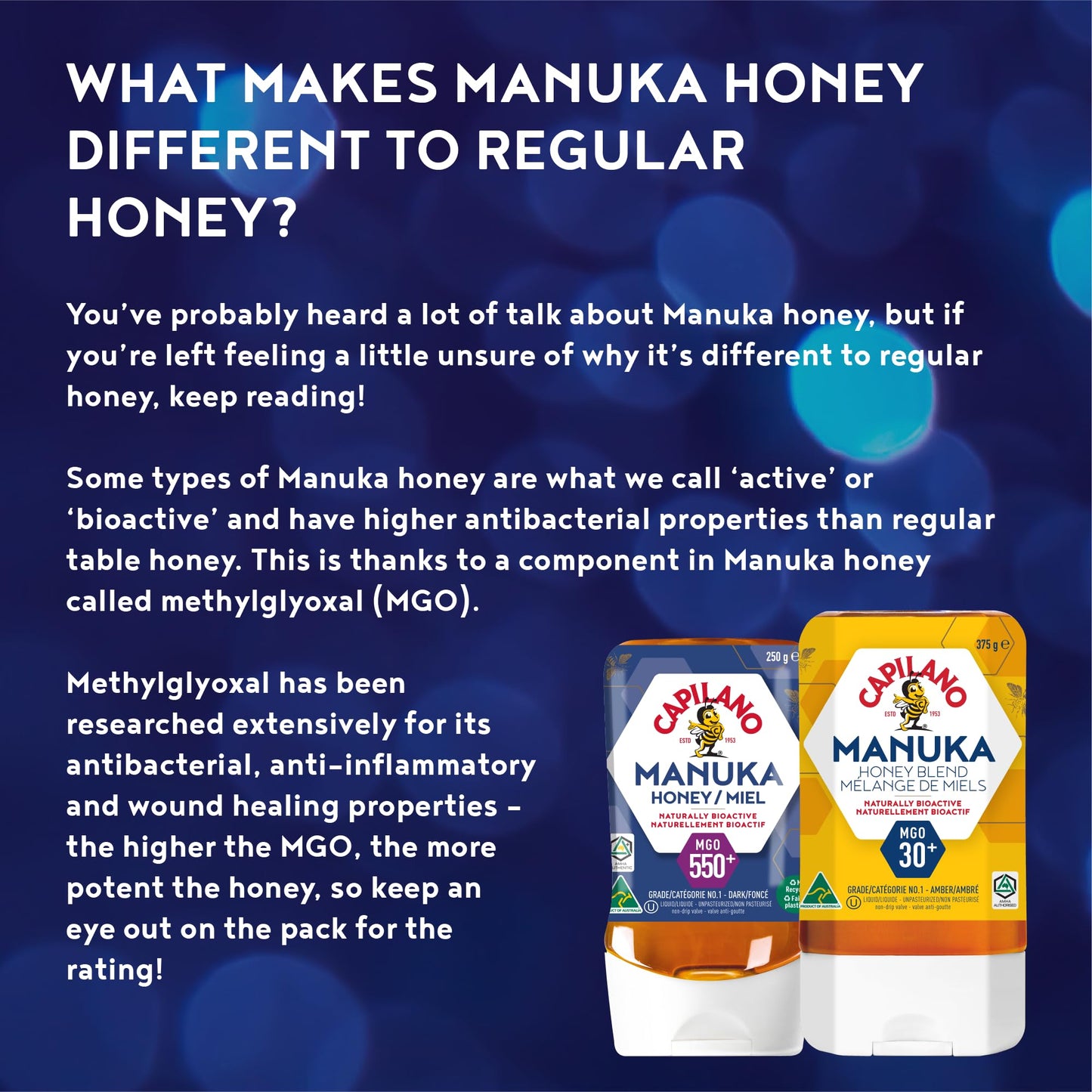 Capilano Active Manuka Honey MGO550+ – 250g Pure Australian Premium